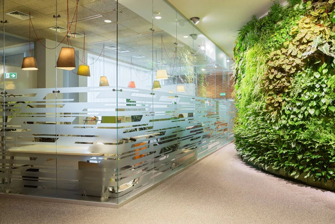 Оригинальные перегородки в офисах известных компаний