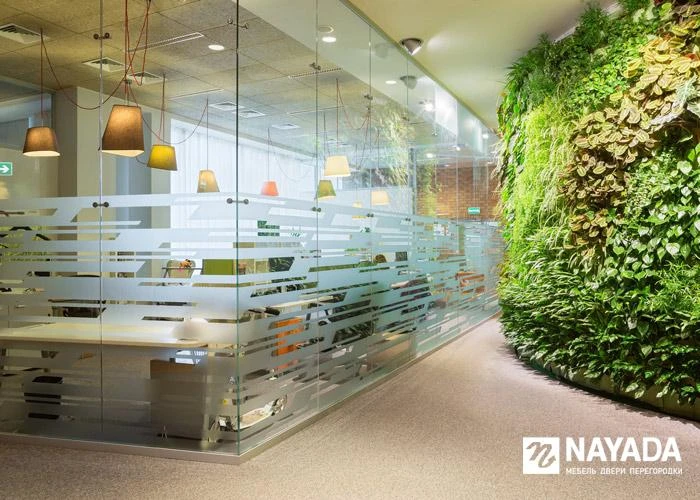 Стеклянные перегородки и двери в интерьере офиса